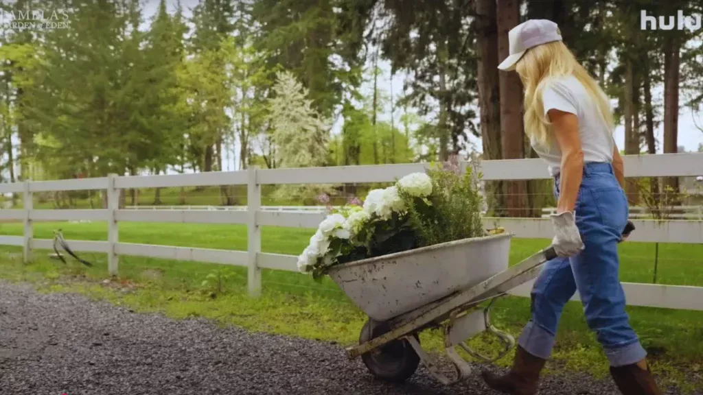 Pamela’s Garden Of Eden Filming in The Roadhouse, Ladysmith, British Columbia, Canada (3)