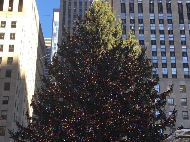 The lit Christmas tree at Rockefeller Center in New York City topped with a large star, with office towers behind it